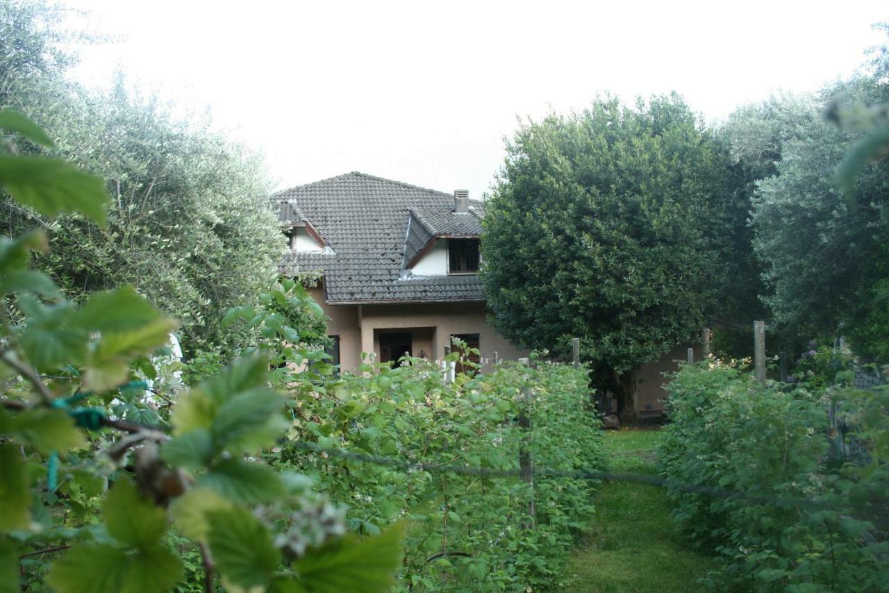 Agriturismo Badalone Domaso Εξωτερικό φωτογραφία