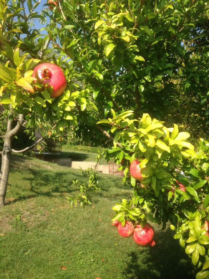 Agriturismo Badalone Domaso Εξωτερικό φωτογραφία