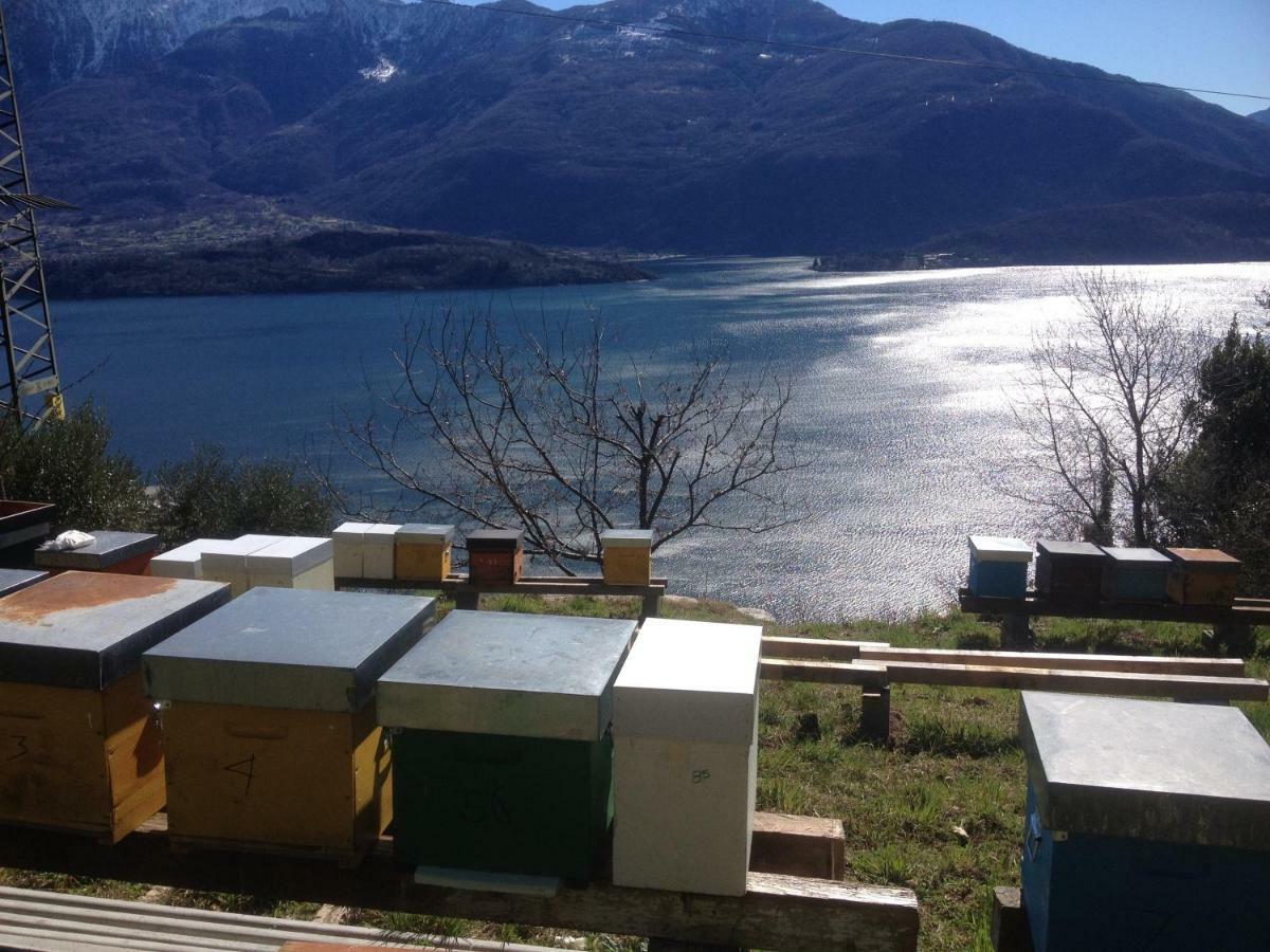 Agriturismo Badalone Domaso Εξωτερικό φωτογραφία