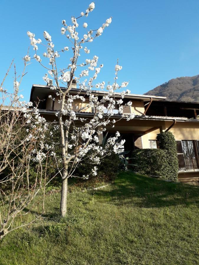Agriturismo Badalone Domaso Εξωτερικό φωτογραφία
